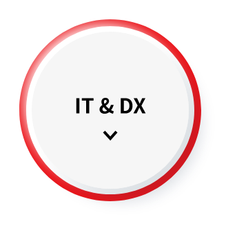 IT & DX