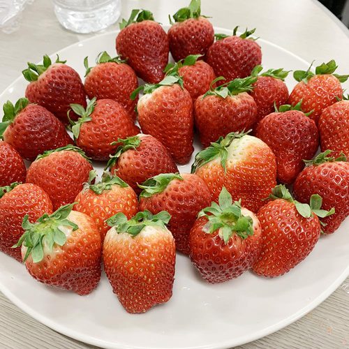 16:00 イチゴの甘い香りで幸せオーラ | 奥野 楓 フォトプロデュース職